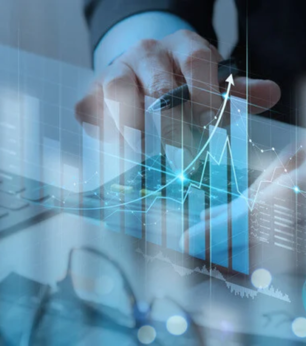 Virtual CFO (1)